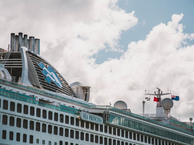 Coronavirus : 700 passagers du Diamond Princess contaminés par une personne lors de la croisière en février