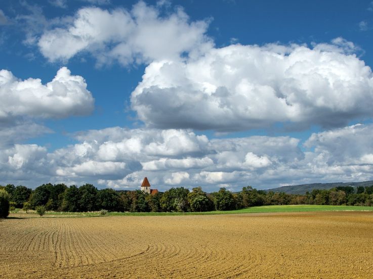 Xavier Niel ouvre une école d'agriculture gratuite dans les Yvelines, Hectar