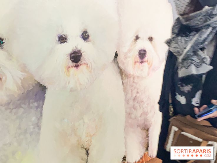 Children Power, l'exposition pour enfants interdite aux adultes non accompagnés au FRAC Paris