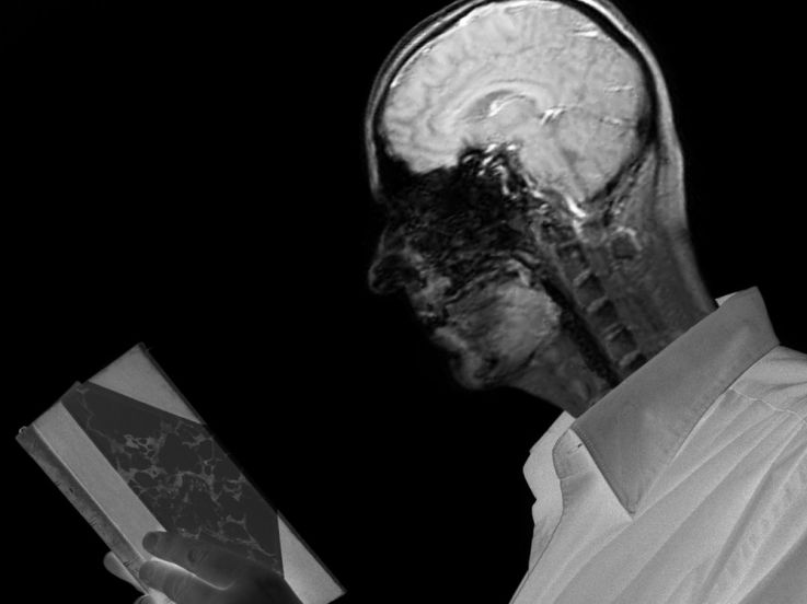 J.P. Toussaint, Autoportrait en Lecteur, Musée du Louvre, Toussaint Louvre, Livre/Louvre Toussaint