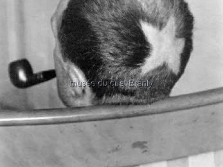 Cheveux Cheris Musée Quai Branly | Tonsure de Marcel Duchamp, 1919  photo Man Ray  collection particulière