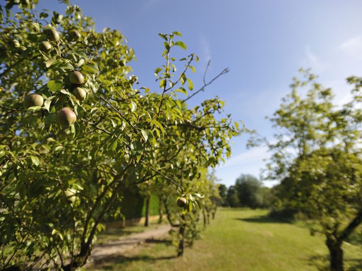 Découvrez le patrimoine culinaire du Val d'Oise au Salon de l'Agriculture