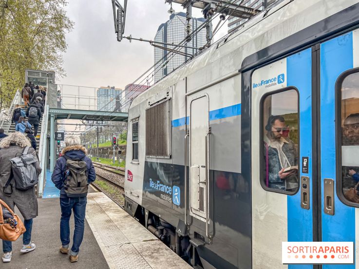 RER C et E : Perturbations majeures après une chute d'arbre et une panne d'aiguillage