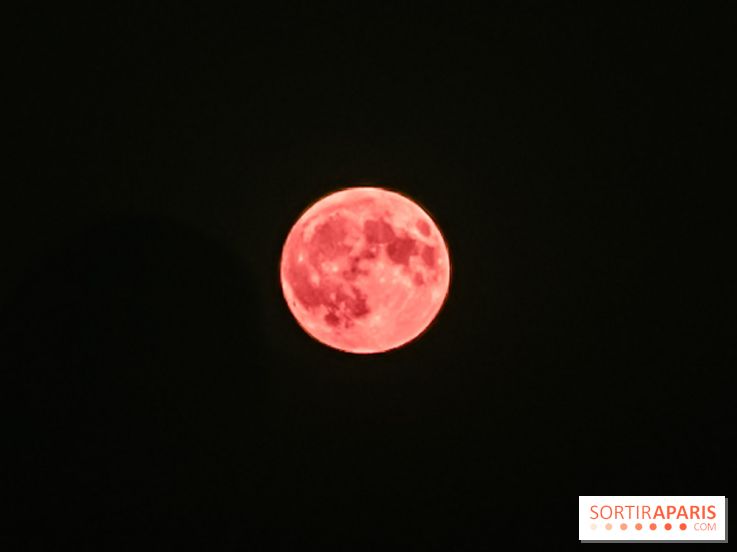 Qu'est-ce que cette micro pleine lune rose, visible dans la nuit du 12 au 13 avril 2025 ? 