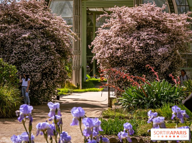 10 parcs et jardins à Paris et en Île-de-France à découvrir absolument en mai 2025 - jardin des plantes