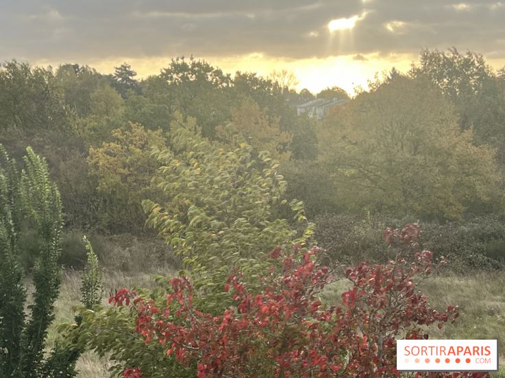 Tempête Benjamin : parcs et jardins fermés en Île-de-France