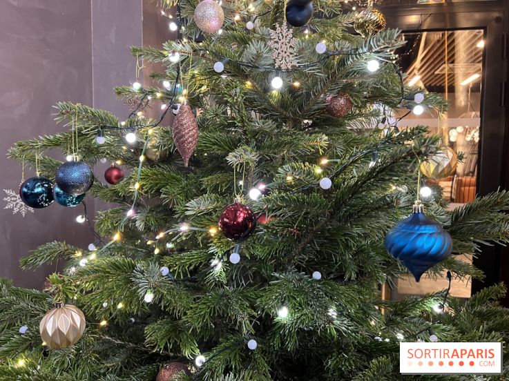 Le Marché de Noël de Thoiry 2025 - 78