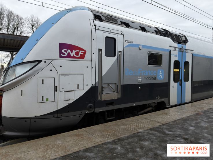 Tempête Goretti : la circulation des transiliens coupée à Saint-Lazaree