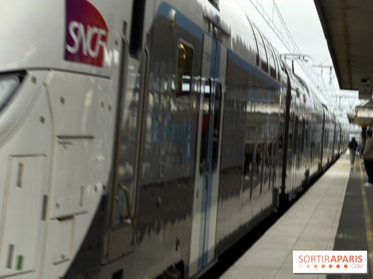 Transports à Paris et en Ile-de-France : les perturbations RER, métro du 9 au 15 février