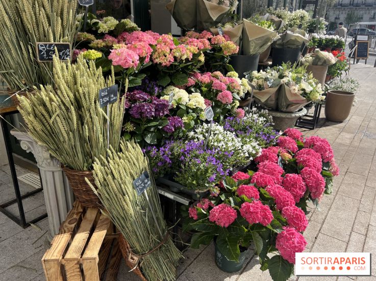 La Fête des Jardins de Sois-y en Essonne 2026