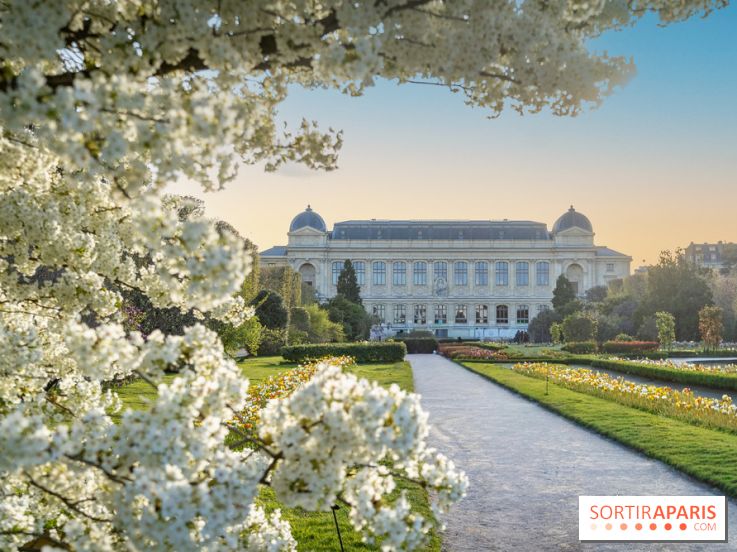 Quelle météo cette semaine à Paris du 30 mars au 6 avril 2026 ? 