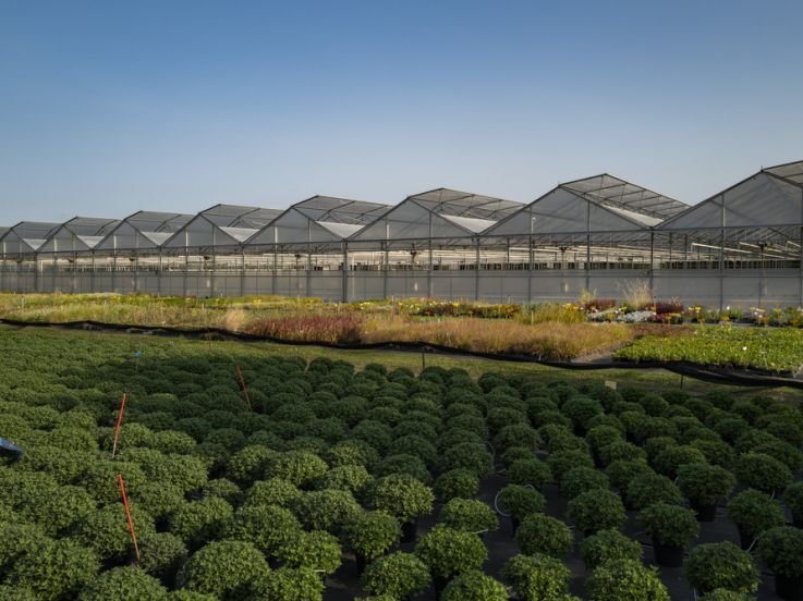 Val d'Oise : des milliers de plantes aux Portes ouvertes du centre Horticole du Grand Paris