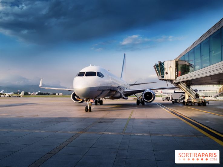 Vols annulés Transavia en mai et juin 2026 : êtes-vous concerné et que faire ?