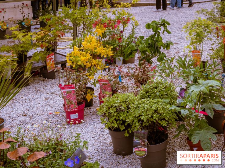 Jardins en fête à Auvers 91