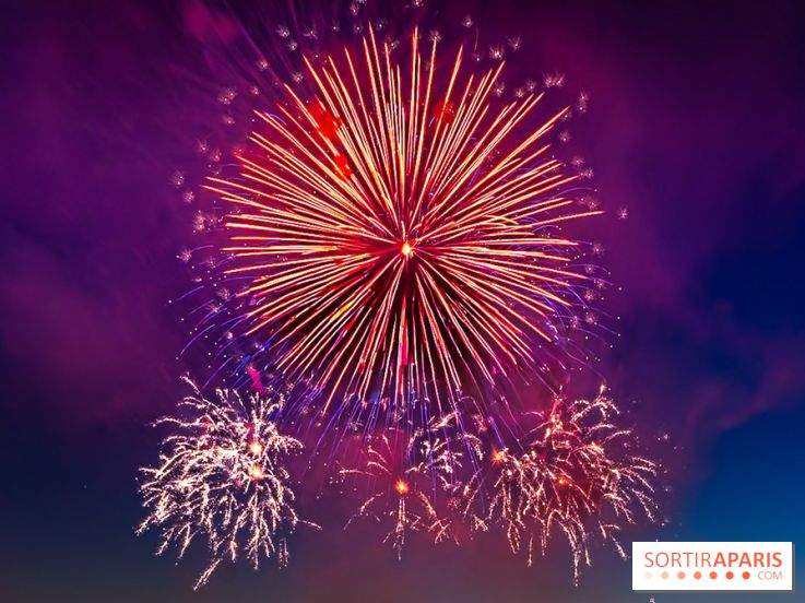 Après l'Essonne, les Yvelines, le Val d'Oise et la Seine-et-Marne interdisent les feux d'artifice