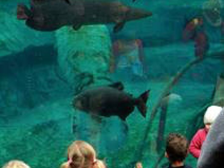 Le Parc Zoologique de Paris pour les vacances de printemps