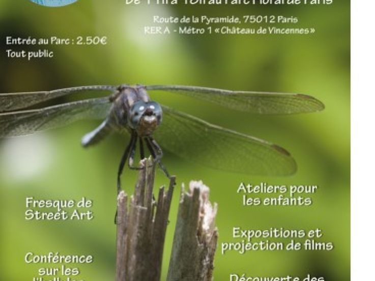 Fête des mares à Paris
