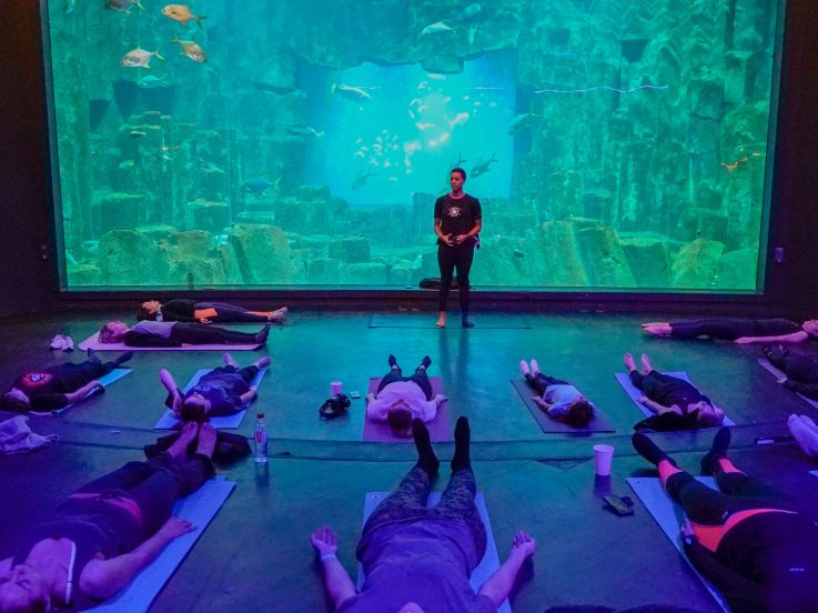 YogAquarium : du yoga en famille à l'Aquarium de Paris