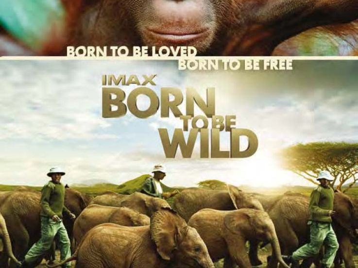 born to be wild, nés pour être libre à la Géode