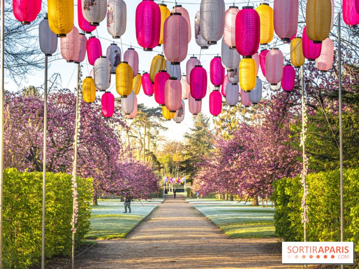 Hanami au Parc de Sceaux 2022, la fête des cerisiers en fleurs