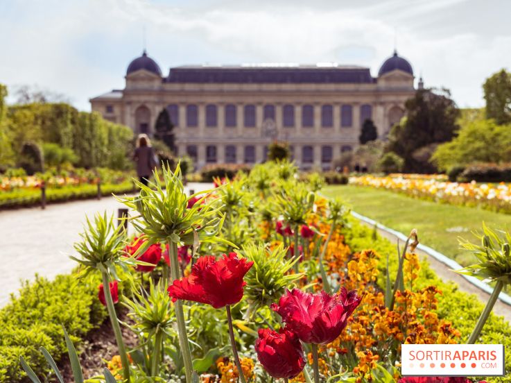 La Fête des sens s'invite au Jardin des Plantes pour les vacances de Pâques