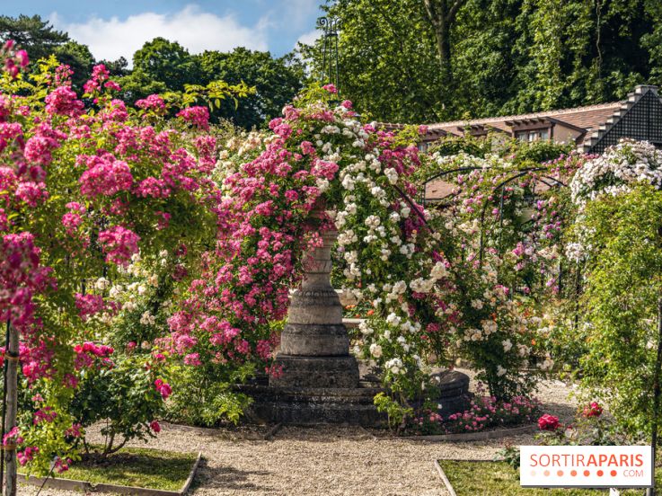Les plus belles roseraies à Paris et en Île-de-France
