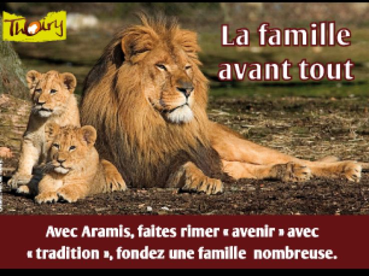 votez pour les animaux, zoo de thoiry