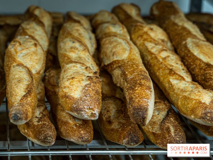 Où trouver les meilleures baguettes au levain de Paris ? 