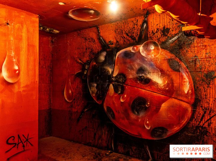 Colors Festival 2023, l'immense expo street art - Sax