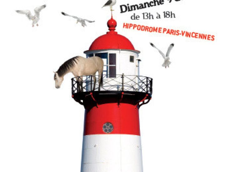 dimanche bretagne en vue à l'hippodrome de paris vincennes