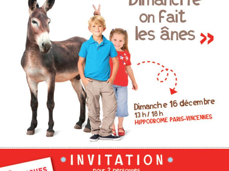 Journée spéciale âne à l'Hippodrome de Paris Vincennes