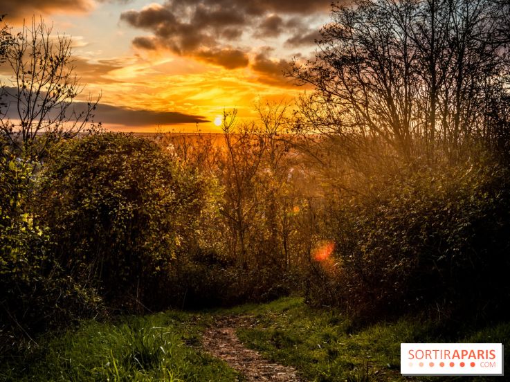 Colline d’elancourt - colline de la revanche 