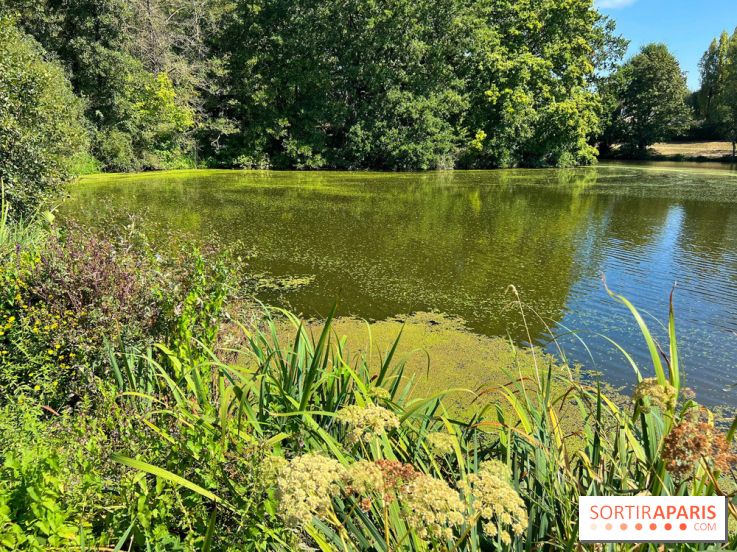 Fête de la Nature à Issy-les-Moulineaux, le programme gratuit