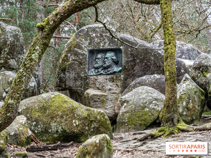 Nuit des Forêts à Fontainebleau 2023 entre art, nature et découvertes gratuites