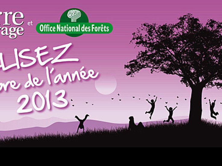 Exposition "Arbre de l'année" au Parc André Citroën