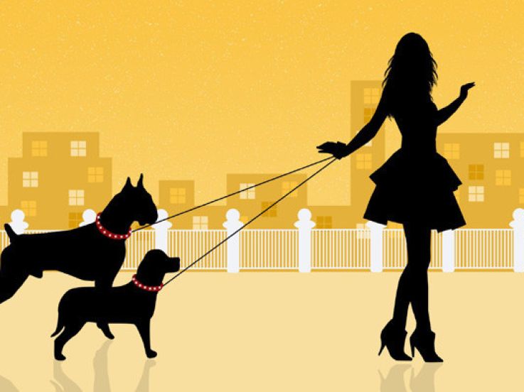 La Garderie pour chien du BHV Rivoli pour les soldes