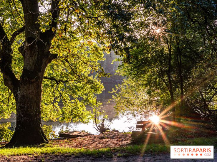 Le Sentier des maréchaux, la balade pédagogique en Vallée de Chevreuse