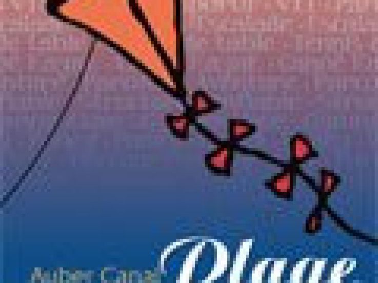 Auber Canal plage 2013