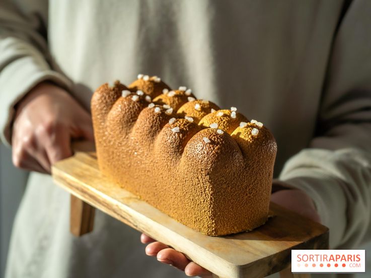 La Bûche de Noël trompe l'œil brioche originale de chez Ochre
