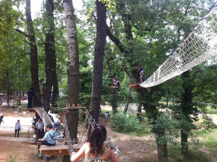 Evasion verte, le parcours aventure du Parc Floral de Paris