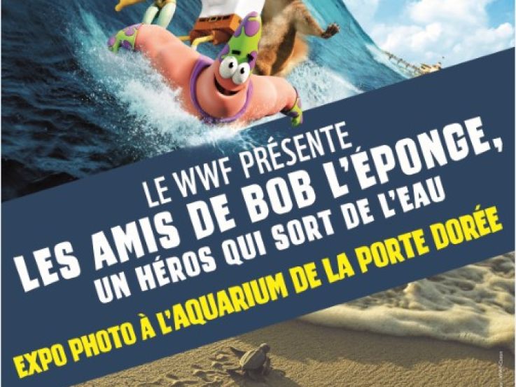 Bob l'Eponge à l'Aquarium de Paris, jeu-concours