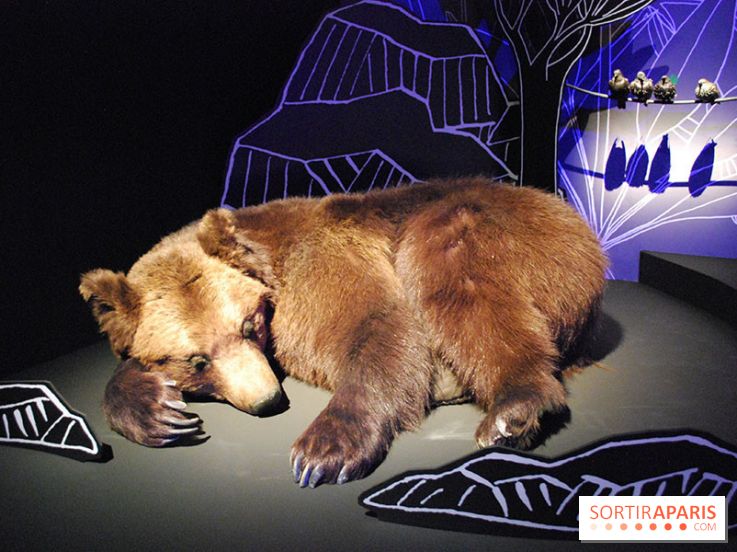 Exposition Nuit au Muséum Natinaol d'Histoire Naturelle