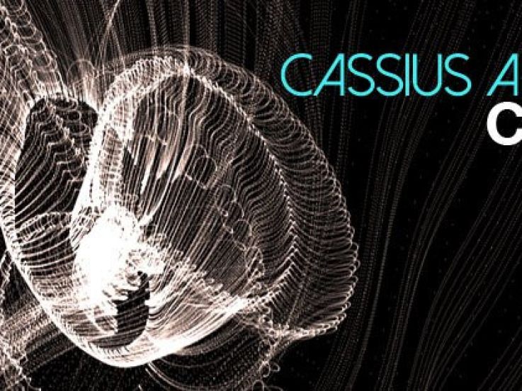Cassius are back au Zig Zag Club