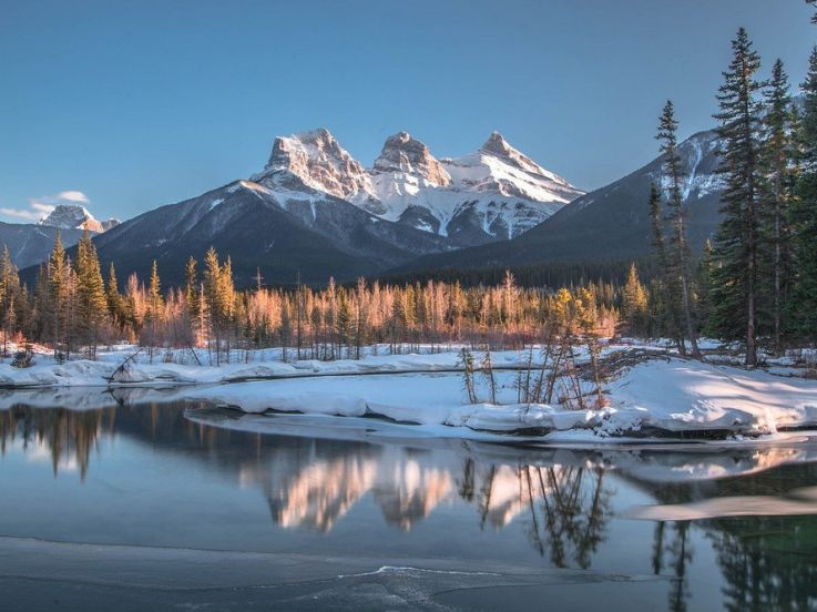 The Thicket : les premières images du western avec James Hetfield, Peter Dinklage et Juliette Lewis