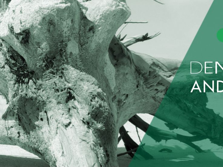 Dennis Ferrer au Zig Zag Club 