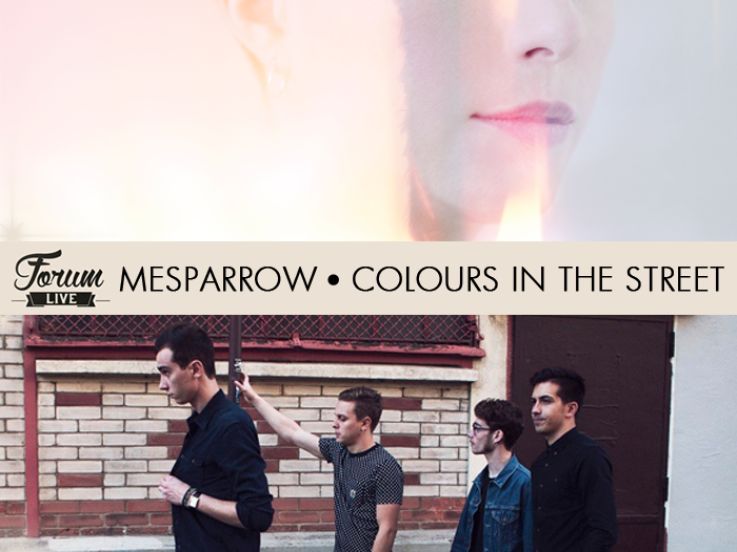 Forum LIVE 2015 avec Mesparrow et Colours In the Street