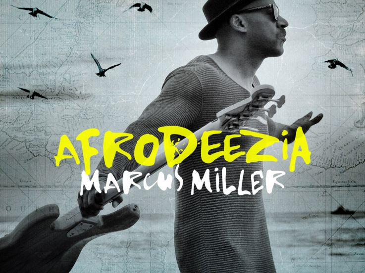 Marcus Miller en concert à l’Olympia de Paris en 2016