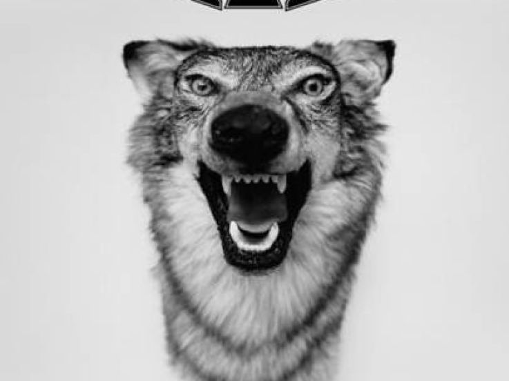 Yelawolf en concert au Yoyo 