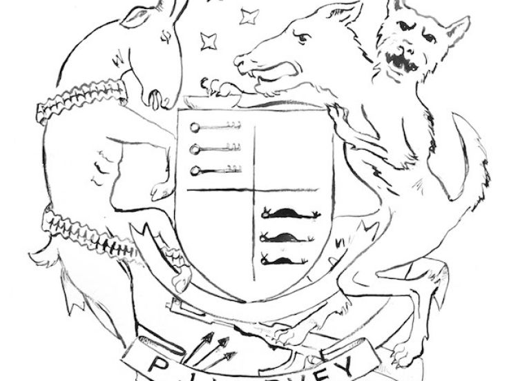 Sortie du nouvel album de PJ Harvey le 15 avril 2016