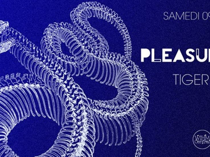 Kraftek : Pleasurekraft & Tiger Stripes au Zig Zag Club